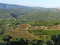 Category:Vineyards of Luberon - Wikimedia Commons