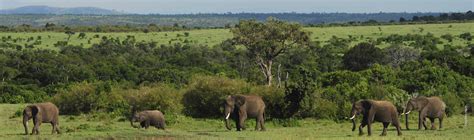 Land & Habitat Protection | African Wildlife Foundation