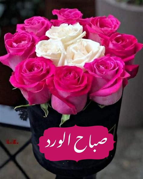 Pin on صباح الورد | Good morning my friend, Good morning coffee, Good morning arabic