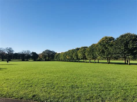 Pontcanna fields : r/Cardiff