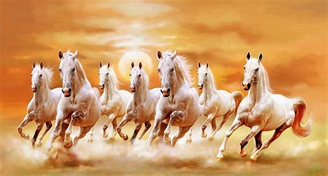 Seven Horses, sun, 7, running, seven, white horses, horses, HD ...