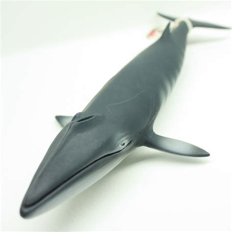 Toy Blue Whales | Wow Blog