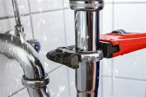 Top-Rated Plumber Service Near Tampa, FL | Integrity Home Solutions ...