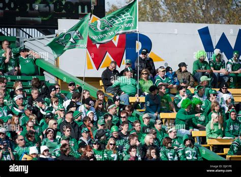 Saskatchewan roughriders fans hi-res stock photography and images - Alamy