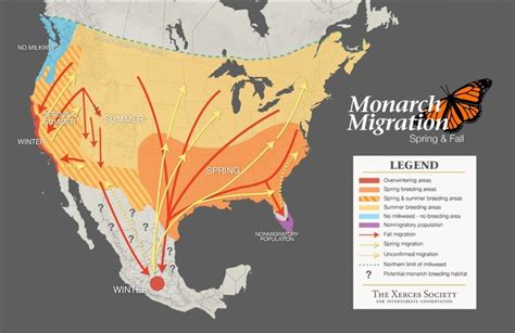 Migration Patterns - monarchbutterflies.com