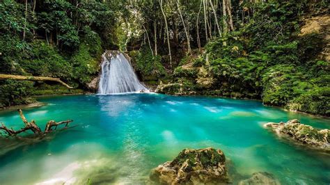 trekcaribbean » ISLAND ROUTES REGGAE CATAMARAN CRUISE MONTEGO BAY