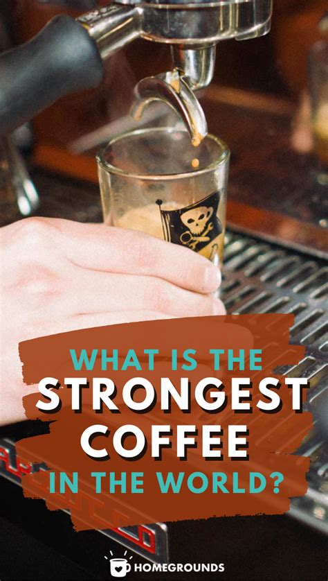 Strongest Coffee In The World? (5 Beans That May Kill You) | Strong coffee, Coffee, Coffee type