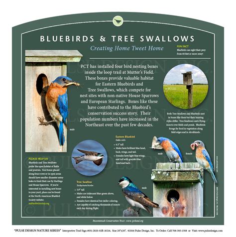 Outdoor Interpretive Nature Trail Sign in Bird & Songbird Conservation Series: Eastern Bluebirds ...