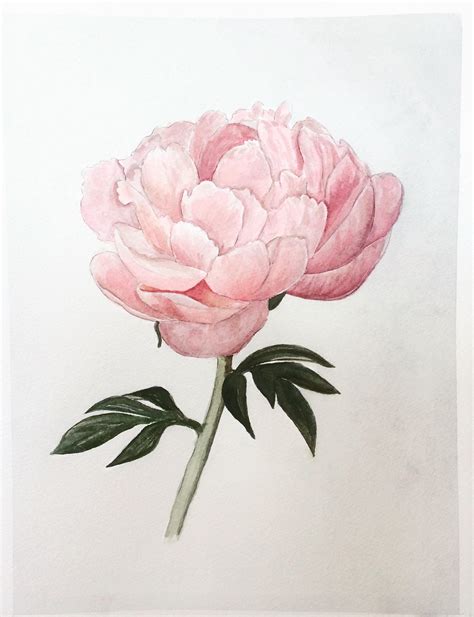 Original Watercolor Peony Painting Minimalist Art Peonies Watercolor Flower Botanical Watercolor ...