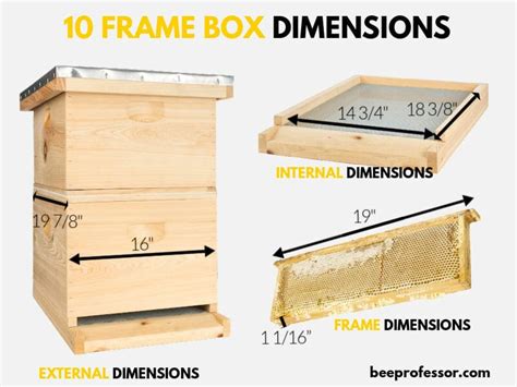 Langstroth Hive Dimensions - A Complete Guide Bee Professor