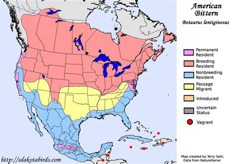 American Bittern - Species Range Map