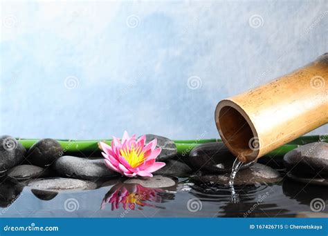 Beautiful Zen Garden with Lotus Flower and Fountain on Light Blue ...