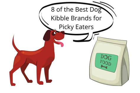 8 of the Best Dog Kibble Brands for Picky Eaters – Mr Dog Food