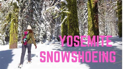 Yosemite Winter Activities at Badger Pass | Snowshoeing Yosemite ...