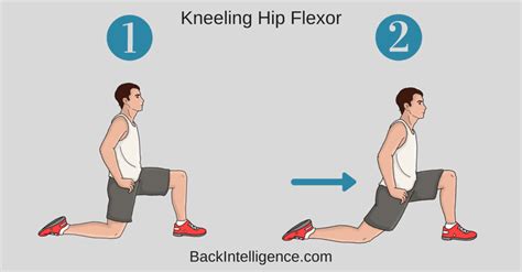 How To Fix Anterior Pelvic Tilt Posture - 10 Exercises | Back Intelligence