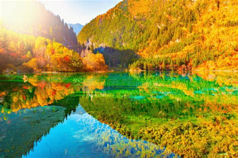 View of Five Flower Lake at Autumn Sunrise Time. Stock Photo - Image of foliage, natural: 96636126