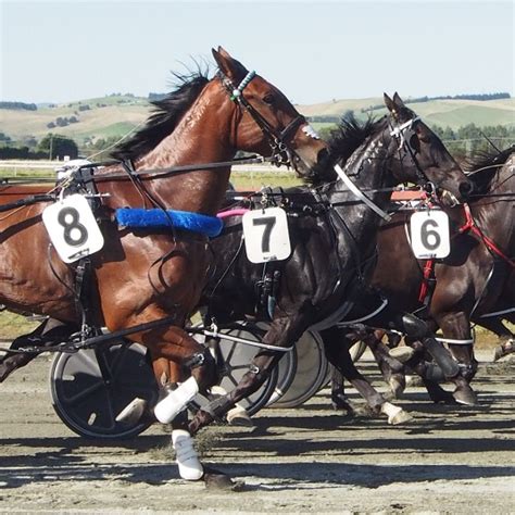 TAB Racing Club a new player in racehorse ownership - Southern Harness Racing