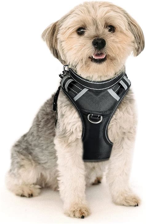 PATPET No Pull Dog Harness - Dog Vest Harness with Nepal | Ubuy