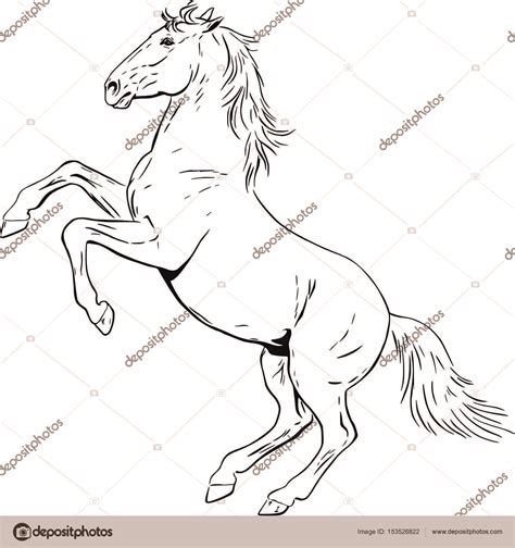 Rearing Horse Outline