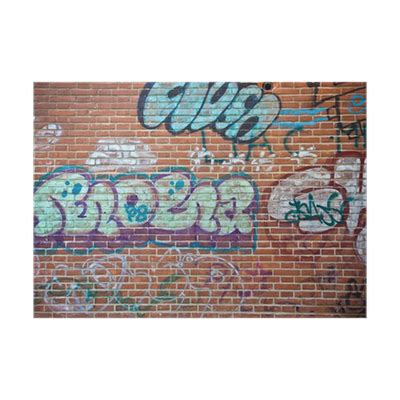 Graffiti on a brick wall Poster • Pixers® • We live to change