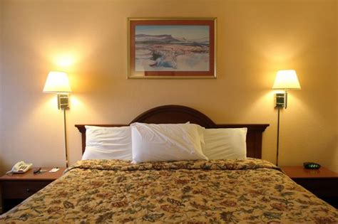 University Inn Tucson - UPDATED 2017 Prices & Motel Reviews (AZ) - TripAdvisor