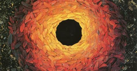 These artists create mind-bending artwork solely from autumn leaves Andy Goldsworthy Leaf Art ...