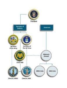 Organizational Chart Of Bureau Of Customs