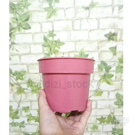 POT bunga plastik warna, Perkebunan di Carousell