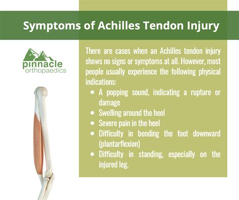 How Do You Know If You Have Damaged Your Achilles Tendon? Pinnacle Orthopaedics | atelier-yuwa ...