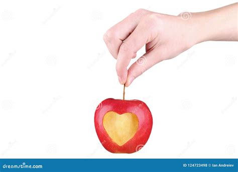 Hand holding red apple stock photo. Image of natural - 124723498