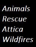welcome | Wildfires Animals