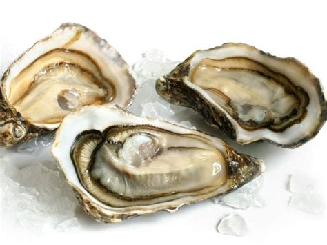 8 Wonderful Benefits of Oysters | Organic Facts