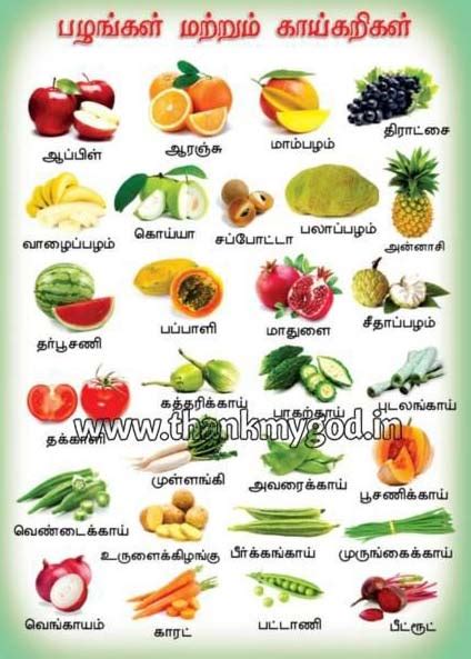 Fruits & Vegetables Chart in Tamil Manufacturer inMadurai Tamil Nadu | ID - 1316356