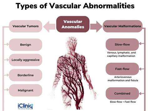 What Is Vascular Anomaly Imaging?