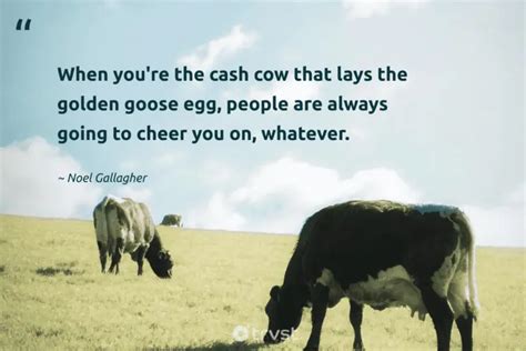 40 Cow Quotes about the Gentle Bovines