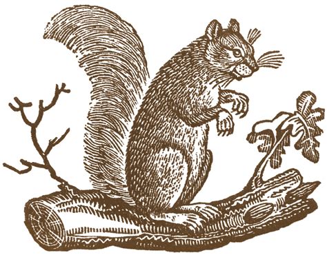 Free Fall Clip Art - Primitive Squirrels - The Graphics Fairy
