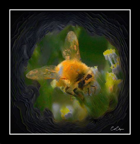 Macro: Painterly Photo of Bee...