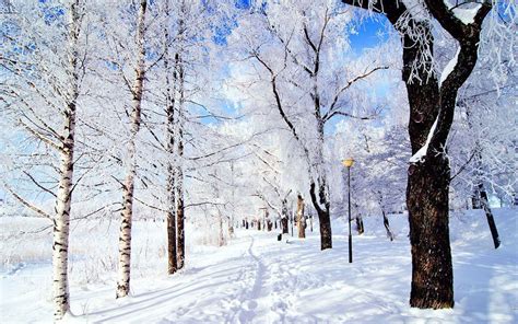 Aesthetic Snow Wallpapers - Top Free Aesthetic Snow Backgrounds - WallpaperAccess