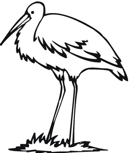 Kingfisher Outline - ClipArt Best