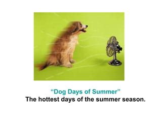 What Does The Idiom Dog Days Of Summer Mean