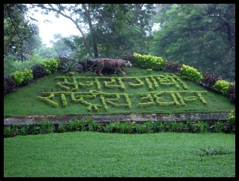 Sanjay Gandhi National Park - India Travel Forum | IndiaMike.com