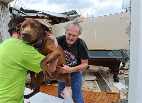 Man Weeps As He's Reunited With His Dog After Tornado | Dogs, Animals ...