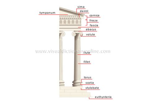 ARTS & ARCHITECTURE :: ARCHITECTURE :: ARCHITECTURAL STYLES :: IONIC ORDER image - Visual ...