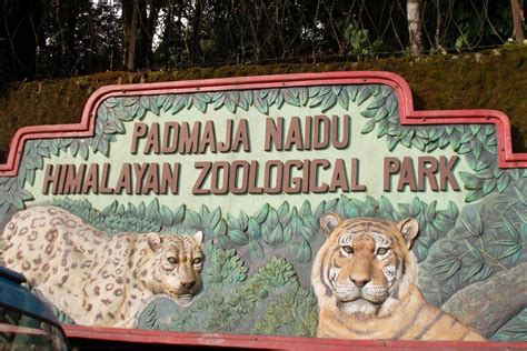 Padmaja Naidu Himalayan Zoological Park in Darjeeling recognised as ...