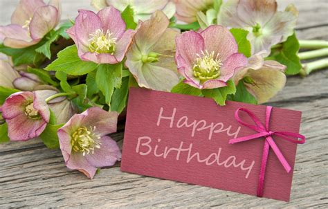 Wallpaper flowers, flowers, postcard, Happy, Birthday images for desktop, section праздники ...