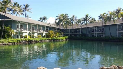 Dolphin Quest at the Kahala Hotel and Resort: Things to Do on Oahu, Hawaii | HubPages