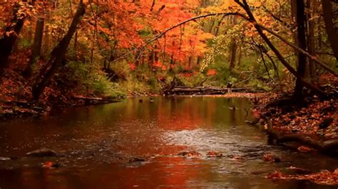 Autumn Cozy | Autumn scenery, Scenery, Nature pictures