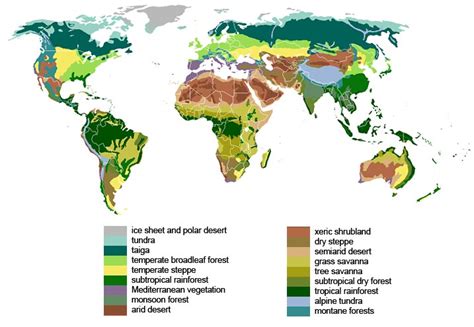 Home Sweet Biome: How Do Plants Grow in Different Environments?