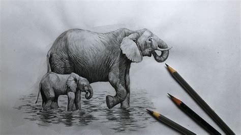 How To Draw An Elephant With Shading | PeepsBurgh.Com