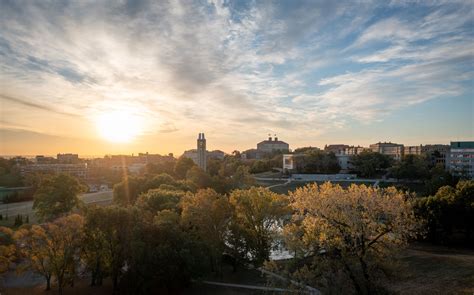 New KU faculty receive research development funding | Office of Research